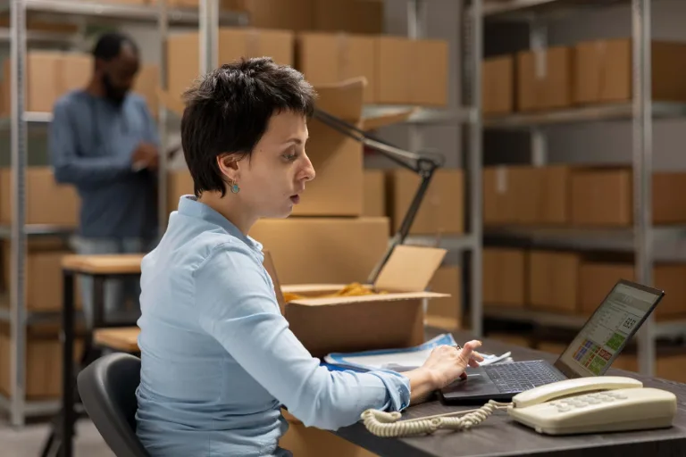 Read more about the article FSN Analysis: Understanding Inventory Movement